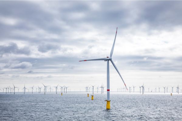 Windparken duwen groene energie naar record