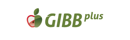 GIBB Plus